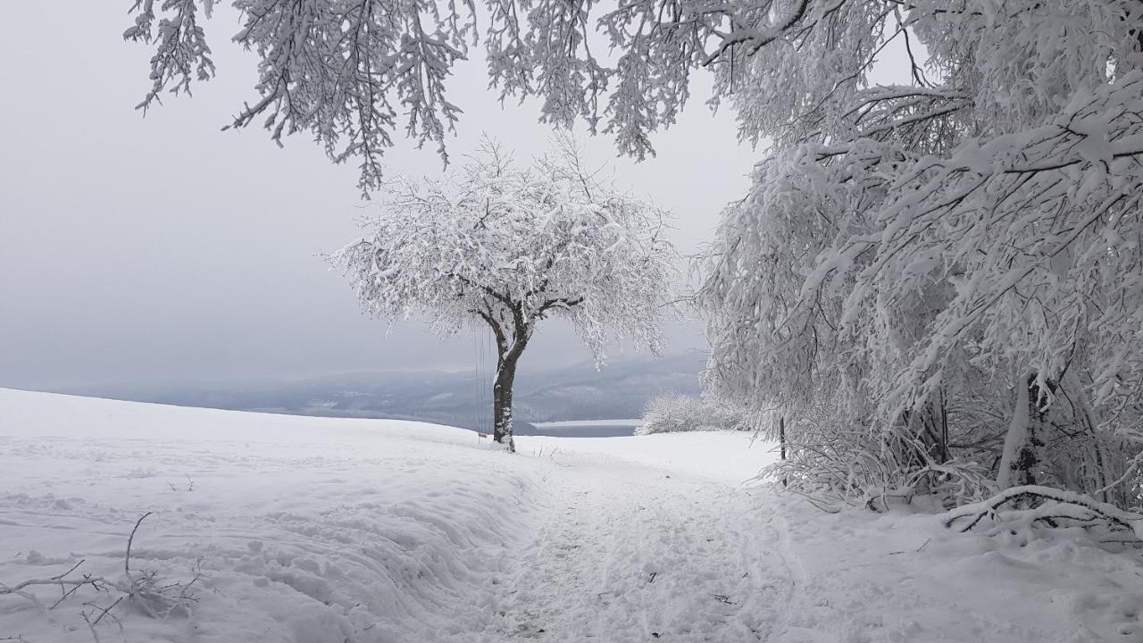 Sonnenschein Am Rursee Simmerath Zewnętrze zdjęcie