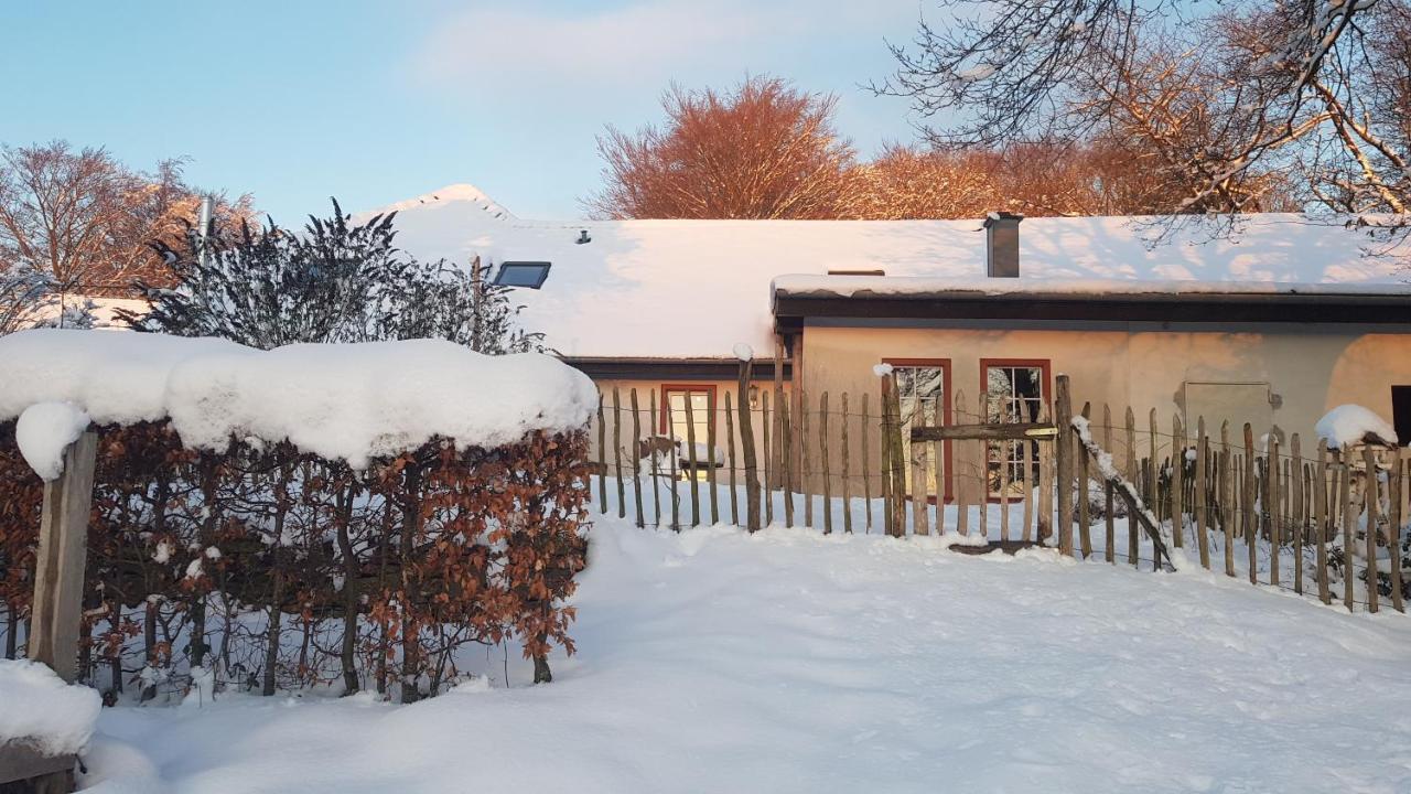 Sonnenschein Am Rursee Simmerath Zewnętrze zdjęcie