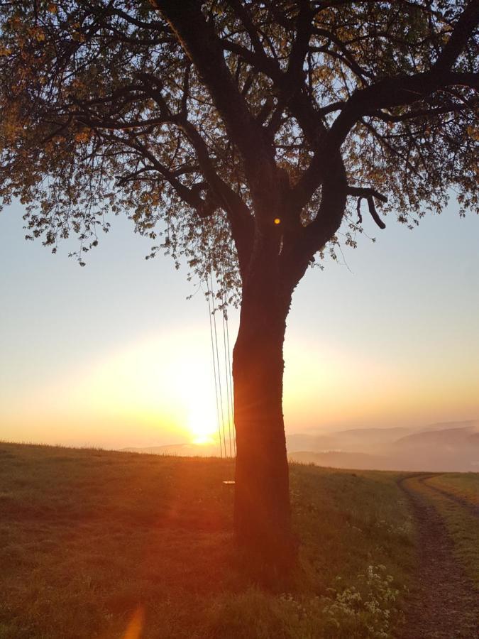 Sonnenschein Am Rursee Simmerath Zewnętrze zdjęcie